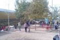 castanyada2015