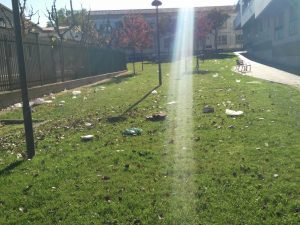 IMG_20161111_103803