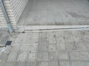 IMG_20161128_092004