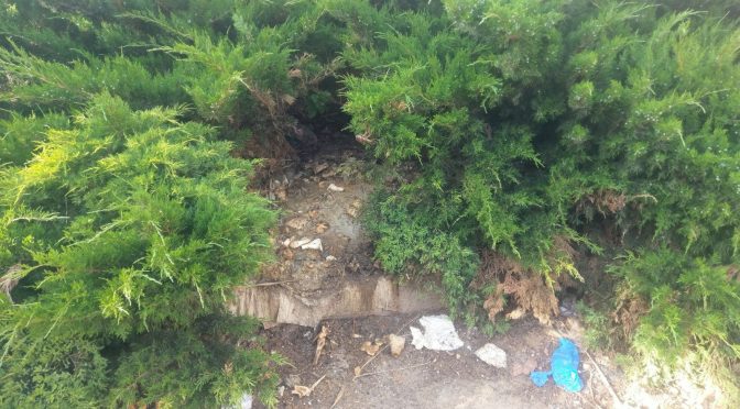 #incidència al #BarriTuróDeGardeny: «espai enjardinat sense manteniment» @paerialleida