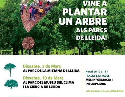 Plantada d’arbres al Turó de Gardeny
