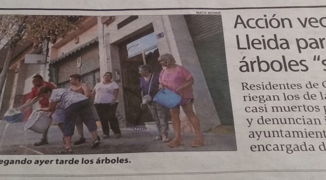 Els veïns de cardenal cisneros s’uneixen per a la conservacion dels arbres del seu barri i l’associació de veïns turo de gardeny els dóna suport totalment i aquesta al seu costat
