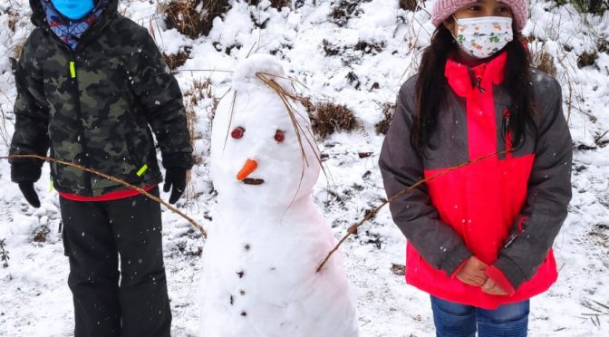 AVUI  LA NEU ARRIBAT AL BARRÍ