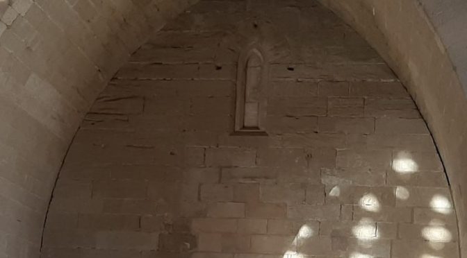 LA PAERIA PREPARA UN PLA CONTA L´INCIVISME I DE NETEJA DE CARRERS