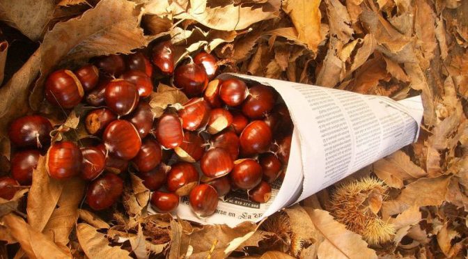 CASTANYADA 2021 DIUMENGE 31 DÓCTUBRE DE 11:00-13:00 A LA PLAÇA TURÓ DE GARDENY ( COSTAT DE LA LUDOTECA )