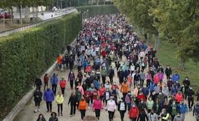 Caminades
