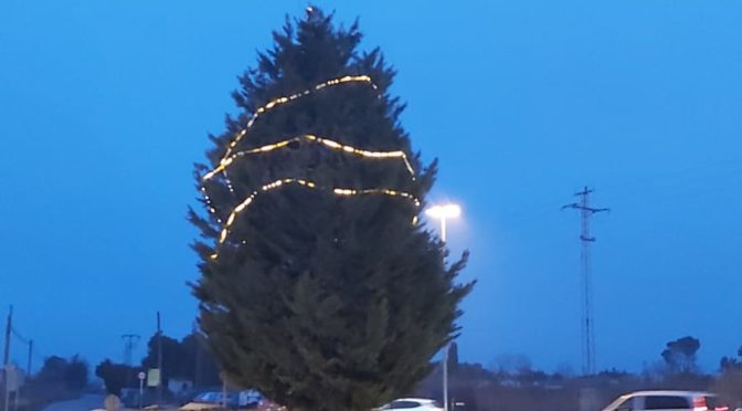 L’AV del barri Turó de Gardeny l’ha engalanat amb llums nadalenques l’arbre de la rotonda entre Pius XII i Onze de Setembre estarà il.luminat durant aquest Nadal per gaudir d’un espai més al barri d’esperit festiu